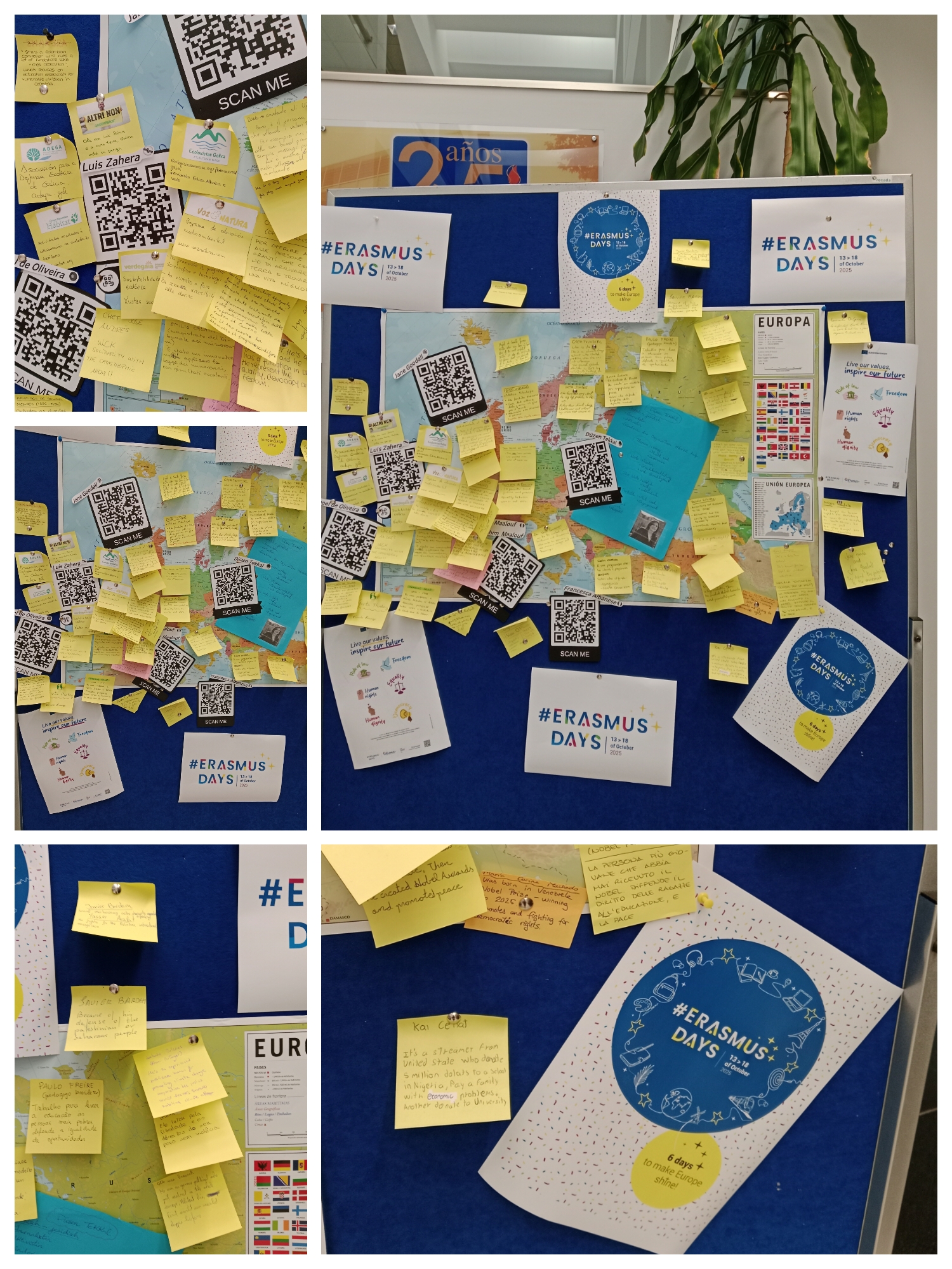 Erasmus Days Erasmus Days